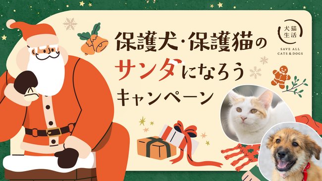 犬猫生活「保護犬・保護猫のサンタになろうキャンペーン」実施。タオルとおやつを動物福祉団体へのクリスマスプレゼントに
