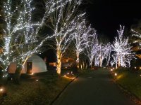 グランピングリゾート ブリリアントヴィレッジ日光　まもなく開業3周年！4万球のLEDが灯る「イルミネーションナイト2025」11月29日より点灯開始！