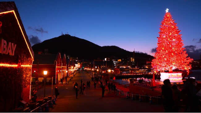 【函館×冬旅】夕食1泊分無料！海鮮バイキング付き連泊プラン販売開始｜HAKODATE海峡の風