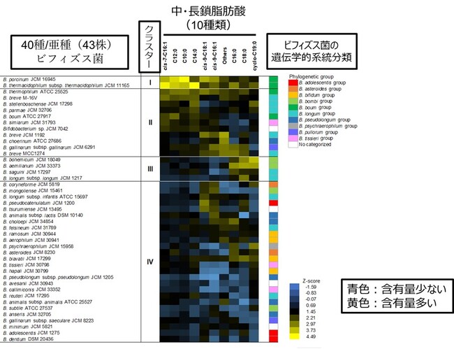 ビフィズス菌は菌種・菌株によって、含有する脂肪酸の組成に大きな違いがあること、中でもビフィズス菌M-16Vが抗菌活性等を持つ脂肪酸を多く含有することを確認