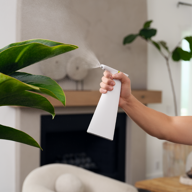 Simplehuman 日本未発売カラーのセンサーミラーを数量限定で販売。新製品も先行販売するPOP UPをエストネーション六本木ヒルズ店で開催。