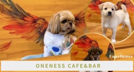 手話と保護犬が繋ぐ新しい支援のカタチ。大阪「ONENESS CAFE&BAR」と大学生発チャリティーアパレルブランドEager Beaverがコラボアパレル発売 手話と保護犬が繋ぐ新しい支援のカタチ。大阪「ONENESS CAFE&BAR」と大学生発チャリティーアパレルブランドEager Beaverがコラボアパレル発売