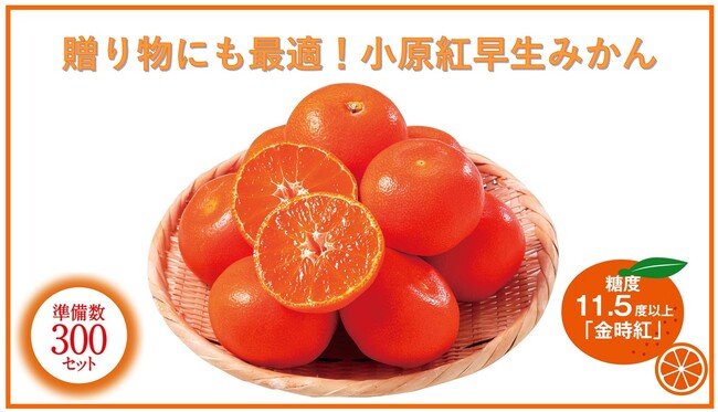 香川県より美味しいみかんを産地直送♪みかんの極み『小原紅早生みかん』をセシールで販売開始！