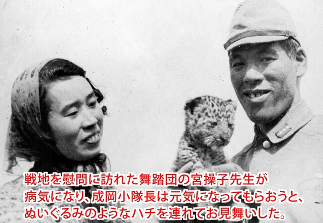 猛獣のヒョウが日本兵たちと心を通わせた奇跡の実話に涙が止まらない！『兵隊さんに愛されたヒョウのハチ』が好評14刷