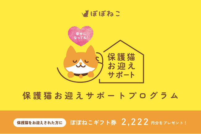 保護猫の“迷子”を防ぐ!ぽぽねこの支援プログラムが常設化