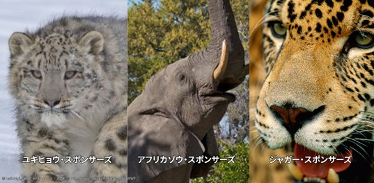 野生動物保全の新たなかたち 「スポンサーズ」プログラムを開始