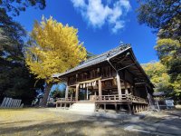 愛媛県・浮嶋神社様にて御守り・御朱印の2026年版予約開始　神代文字の一種である龍体文字と御守り・御朱印が現代で融合