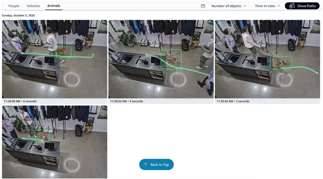 クラウド型統合セキュリティプラットフォームVerkadaが新機能「Animal Detection（動物検知）」を提供開始