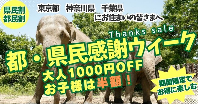 東京・神奈川・千葉限定！冬のサファリを特別料金で楽しむ「首都圏感謝ウィーク（都県民割）」開催