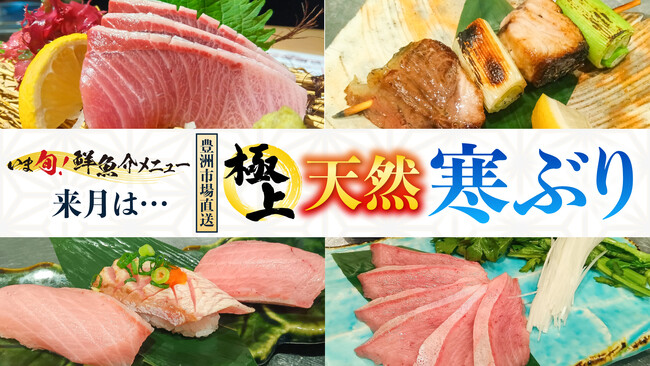 豊洲市場直送の旬！梅の花グループ「さくら水産」で『極上 天然寒ぶり』フェア開催