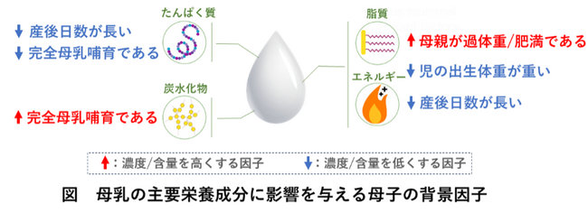 第3回全国母乳調査　母乳成分の個人差に関わる要因を解明　-日本人母子1,071組の大規模調査-