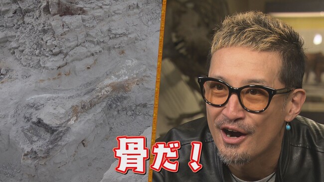 【恐竜発掘アドベンチャー　掘り出せ！みんなのみらい】松岡昌宏、金川紗耶（乃木坂46）、小林快次（北海道大学教授）出演　札幌テレビ放送（STV）特別番組