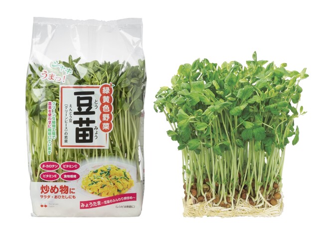 村上農園「豆苗」発売30周年! “家計のお助け野菜”は、会社を救った“お助け野菜”だった