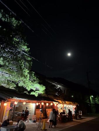 【島根県雲南市｜クラウドファンディング開始】伊能忠敬も見た「浪花の大松」を和洋折衷クリスマスツリーにしてみんなで集いたい！