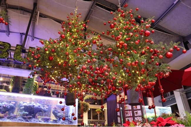 宙に浮いたクリスマスツリー「ツリーシャンデリア」が初登場！HANA・BIYORIのクリスマス2025
