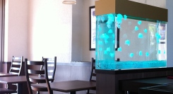 【群馬県限定】オフィス・医療・飲食店に“癒し”を。人工クラゲ水槽の無料導入相談を受付（〜12/28〈日〉）｜想芸館