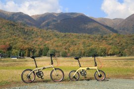 TRANS MOBILY NEXT_newcolor1 TRANS MOBILY NEXT_newcolor1