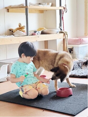 【クラウドファンディング実施中】老人ホーム入居やご病気等でペットが飼えなくなってしまった方の一助となります！