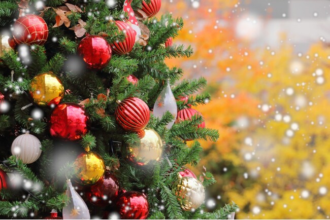 まだ間に合う！「クリスマス旅におすすめの宿」特集公開　舞浜から人気温泉地まで多彩な宿の限定プランを紹介｜リロホテルズ＆リゾーツ