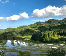 大山千枚田保存会 大山千枚田保存会