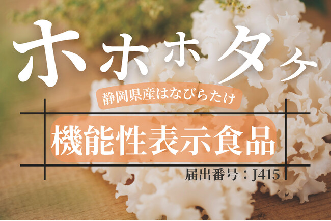 自動車用電球製造の大井川電機、「機能性表示食品」として幻のきのこ「ホホホタケ」本格出荷・営業開始