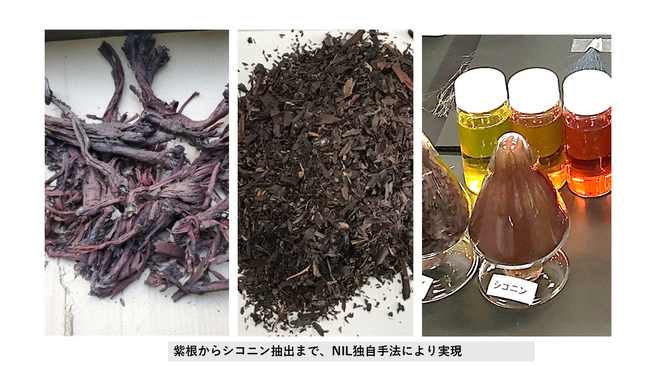 株式会社NIL、特許「皮膚外用剤、肌質改善剤及び日焼け防止剤」が登録。- 伝統素材シコニンの独自高濃度抽出 × 分散技術でスキンケア領域へ本格展開 -