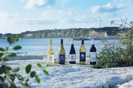 【JAF千葉】貸切列車で開催「ワインソムリエと楽しむ!~銚電JAF号崖っぷち行~」