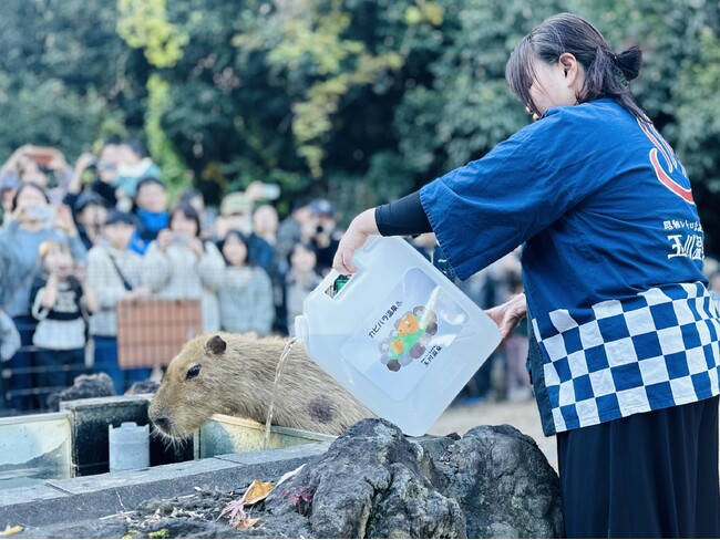 昭和レトロな温泉銭湯 玉川温泉と埼玉県こども動物自然公園がコラボ。冬の風物詩「カピバラ温泉」に玉川温泉の源泉を届けます