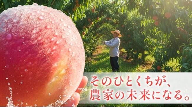 『10年後には桃が無くなる..！？』桃の未来を守るため「ガバメントクラウドファンディング(R)」で寄付の募集を開始します。