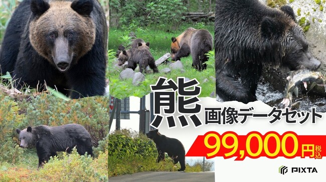 PIXTA、機械学習用「熊画像データセット」販売開始