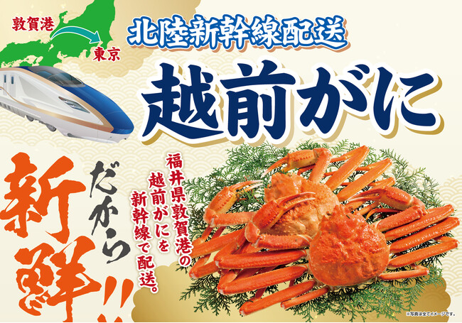 【イオン 超！ブラックフライデーセール特別企画】 今が旬！冬の味覚の王者「越前がに」を北陸新幹線で配送して即日販売！