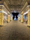 アドレスモール アドレスモール