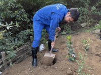 NGP協同組合　香川県豊島の環境保全・再生活動への取組が評価され、「第13回グッドライフアワード」にて「実行委員会特別賞　環境ひとづくり賞」を受賞