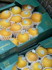 商物一体のサービスでシンガポールでのコールドチェーン市場拡大へ