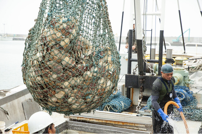 【物価高に挑む決断】北海道興部町（おこっぺちょう）、大人気「ホタテ玉冷」のふるさと納税寄附金額を12月1日より緊急引き下げ！