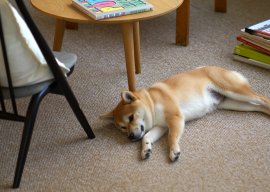 家庭用タイルカーペット 家庭用タイルカーペット