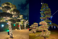 “光の中で打つ”新感覚ゴルフ体験！座間の夜を彩る『ZAMA GOLF ナイトイルミネーション 2025』が開幕