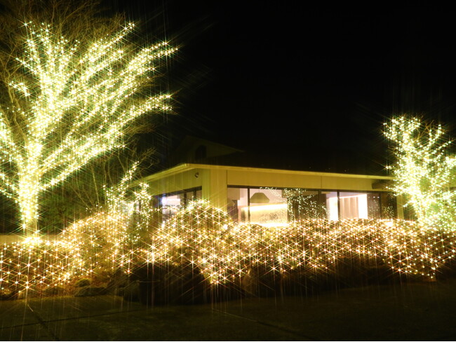 【12月～3月限定】静寂な仙石原に眩いシャンパンゴールドの光で奏でる『ウィンターイルミネーション』プラン