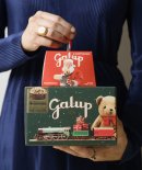 パネットーネ100g / グランガルップ・トイズエディション