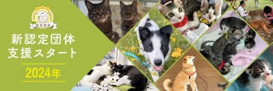 イヌやネコの動物福祉向上に取り組む9団体を新たに認定！
活動を支援するためのオンライン寄付受付を12月1日よりスタート