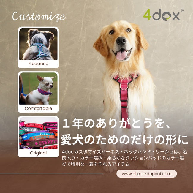 愛犬への1年分の“ありがとう”を、世界にひとつの特別なギフトに