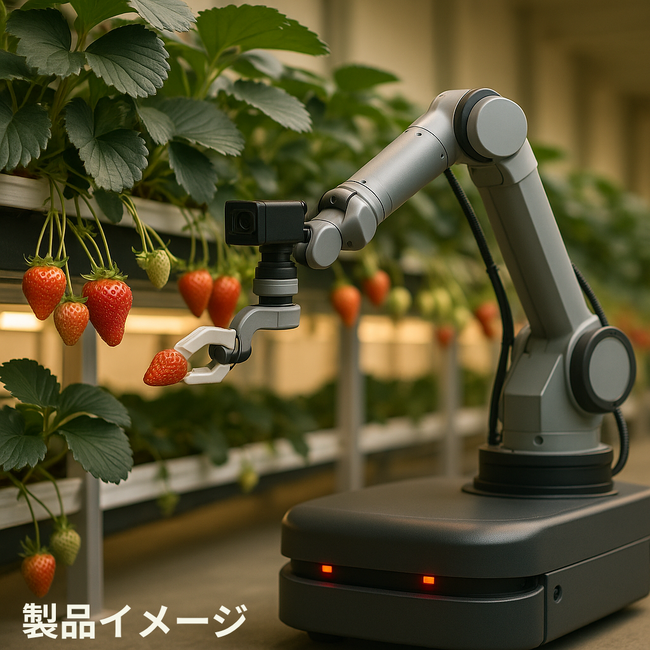 AI認知技術を活用した自動いちご自動受粉・収穫ロボットの開発プロジェクトを開始