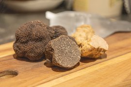 アルバ産トリュフ アルバ産トリュフ