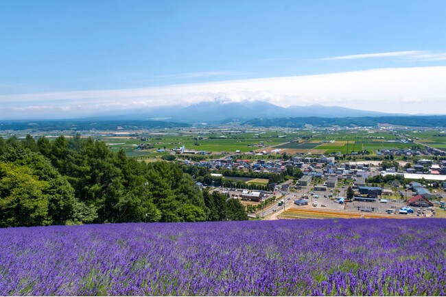 日動がJALとタッグ 「JALオーベルジュ富良野」JAL初のオーベルジュ事業の全国1拠点目は北海道中富良野町 2026年冬開業へ