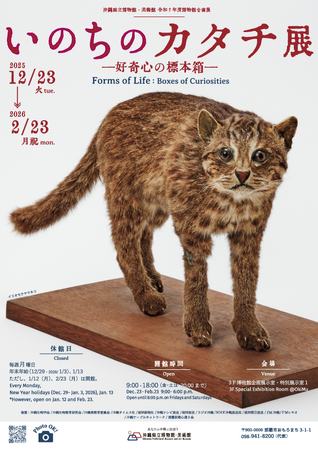 【沖縄県立博物館・美術館】いのちのカタチ展―好奇心の標本箱―