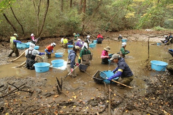 【国立科学博物館 附属自然教育園】自然教育園　池沼の自然再生プロジェクト～かいぼりで美しい水辺と豊かな生態系の復活を目指す～