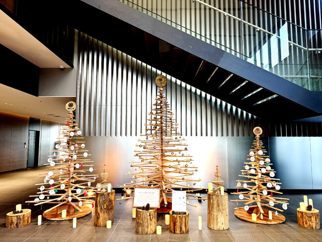 間伐材 × シードペーパーで叶えるサステナブルなクリスマス