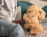 ＜12月3日(水)から7日間限定＞和歌山県橋本市の地場産品「高野口パイル」が今年もあべのハルカスにやってきた！