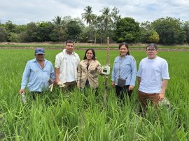 プロジェクトメンバー:CIAT提供 プロジェクトメンバー:CIAT提供