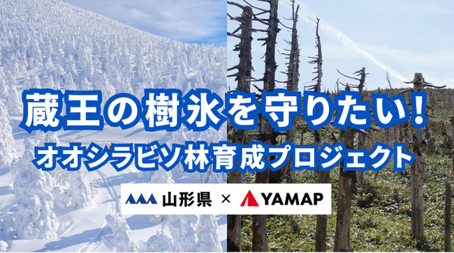 ふるさと納税で蔵王の美しさと楽しさを体験してください！